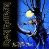 Iron Maiden - Fear Of The Dark - Heavy Metal Hard Rock Music Album Cover Art Poster - Framed Prints