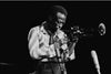 Jazz Legends - Miles Davis Live At Fillmore East - Tallenge Music Collection - Art Prints