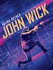 John Wick - Keanu Reeves - Hollywood English Action Movie Poster - 4 - Large Art Prints