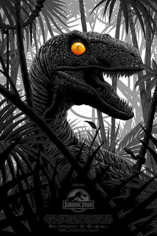 Jurassic Park - Steven Spielberg - Hollywood Movie Poster 2 by Movie Posters