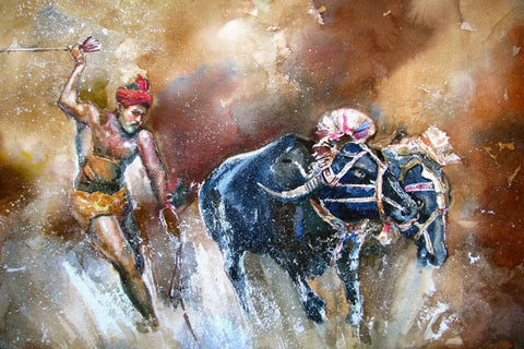 Kambala - The Annual Buffalo Run In Mangaluru - India Art Painting - Framed Prints
