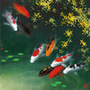 Koi Fish - Carp - Feng Shui Painting - Art Prints