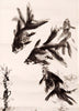 Koi Fish - Feng Shui Painting - Framed Prints