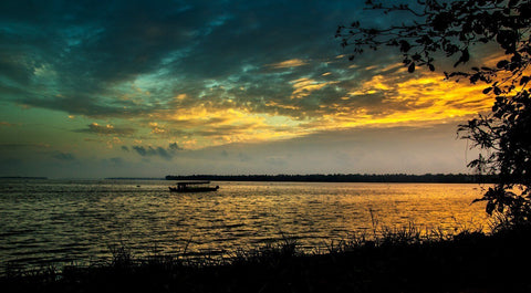 Kumarakom - Life Size Posters