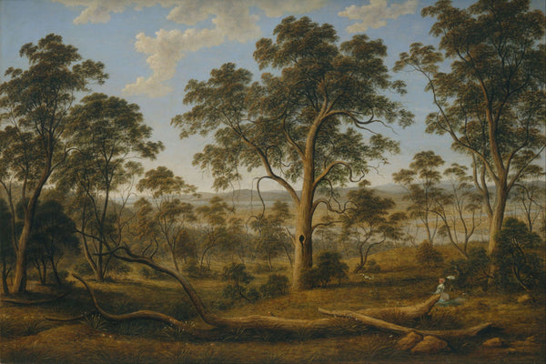 Launceston and the river Tamar - Canvas Prints
