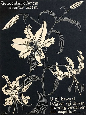 Lilies - M C Escher - Large Art Prints