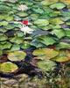 Lily Pads - Life Size Posters