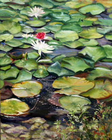 Lily Pads - Large Art Prints by Tallenge Store