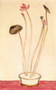 Lotus - Sanyu - Floral Painting - Posters