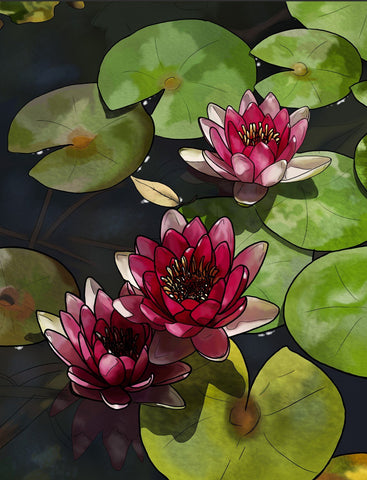 Lotus Blooms - Large Art Prints by Tallenge Store