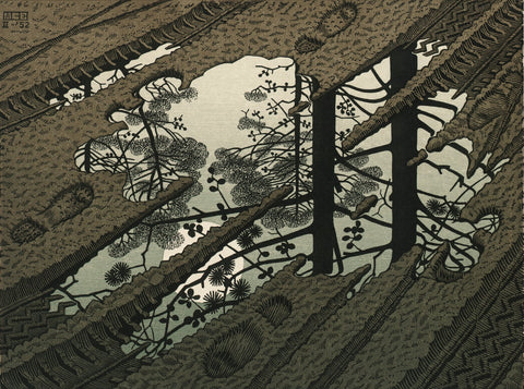 Puddle - Large Art Prints by M. C. Escher