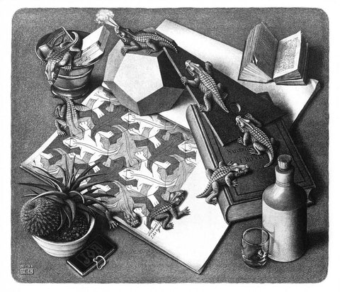 Reptiles by M. C. Escher