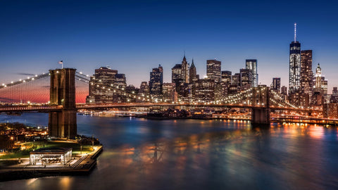 Manhattan Brooklyn Bridge New York by Teri Hamilton