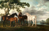Mares And Foals In A River Landscape - George Stubbs Equestrian Painting - Canvas Prints