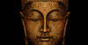 Meditating Buddha - Framed Prints