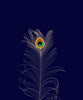 Minimalist Art - Peacock Feather - Posters