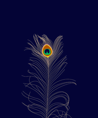 Minimalist Art - Peacock Feather by Christopher Noel