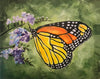 Monarch Butterfly - Contemporary Watercolor Painting - Life Size Posters
