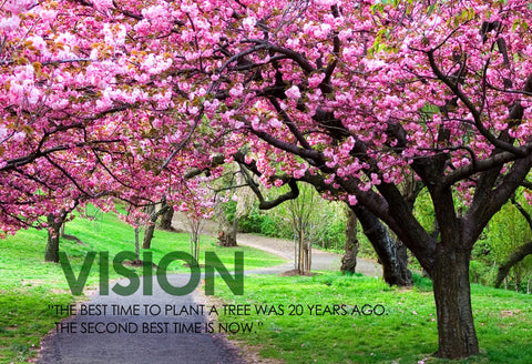 Motivational Quote: VISION - Framed Prints