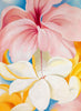 Hibiscus - Georgia O'Keeffe - Large Art Prints