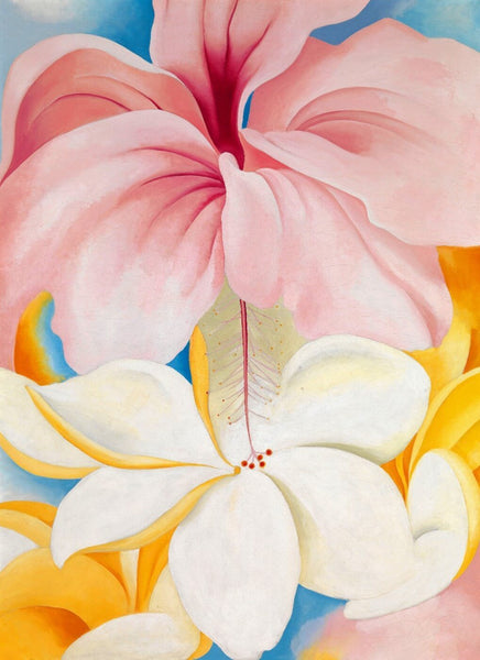 Hibiscus - Georgia O'Keeffe - Life Size Posters