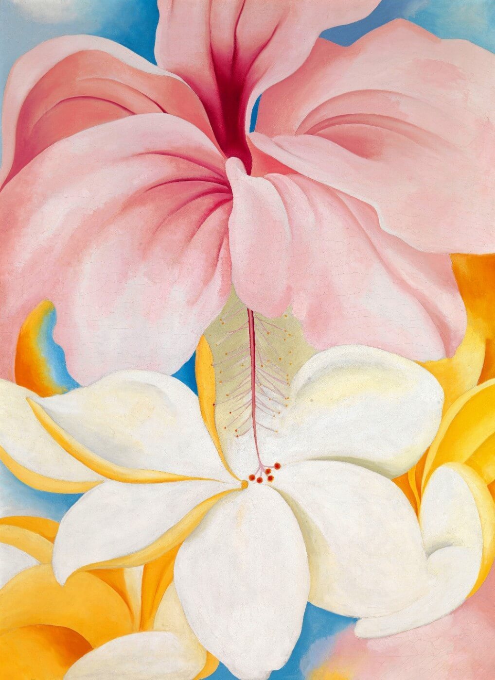 Hibiscus - Georgia O'Keeffe - Large Art Prints by Georgia O'Keeffe