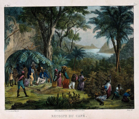 Indian Workers Harvesting The Crop On A Coffee Plantation - Johann Moritz Rugendas - Posters