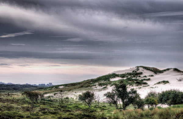 Nature and Dunes - Life Size Posters