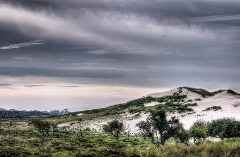 Nature and Dunes by Watze D. De Haan