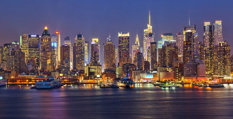 New York Skyline - II by Teri Hamilton