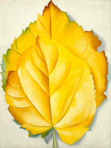 Yellow Leaves - Georgia Keeffe - Canvas Prints by Georgia OKeeffe