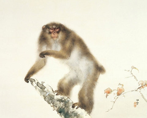 Old Monkey with Cherry in Autumn - Kansetsu Hashimoto - Japanese Art Masterpiece Painting - Art Prints by Kansetsu Hashimoto