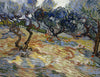 Olive Trees - Art Prints