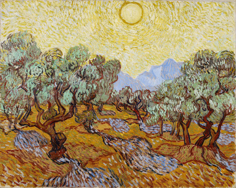 Olive Trees - Large Art Prints