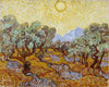Olive Trees - Canvas Prints