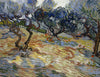 Olive Trees - Canvas Prints