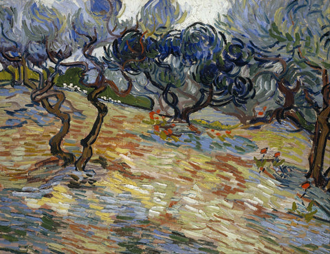 Olive Trees - Large Art Prints by Vincent Van Gogh