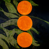 Oranges on Branch - Abstract Art Painting - Posters