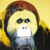 Orangutan - Canvas Prints