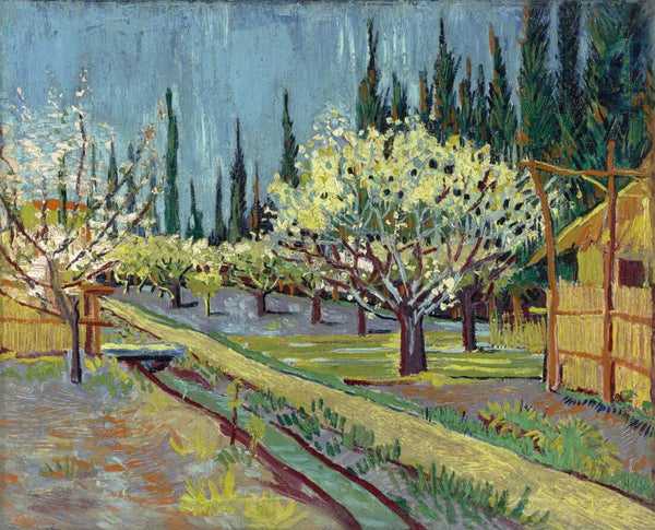 Orchard Bordered By Cypresses (1888) - Vincent van Gogh Painting - Life Size Posters