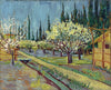 Orchard Bordered By Cypresses (1888) - Vincent van Gogh Painting - Life Size Posters