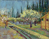 Orchard Bordered By Cypresses (1888) - Vincent van Gogh Painting - Canvas Prints