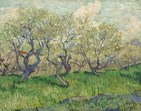 Orchard In Blossom At Arles - Vincent van Gogh Painting - Large Art Prints