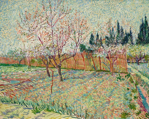 Orchard With Cypresses (Verger Avec Cyprès - Vincent van Gogh - Landscape Post Impressionist Painting - Art Prints