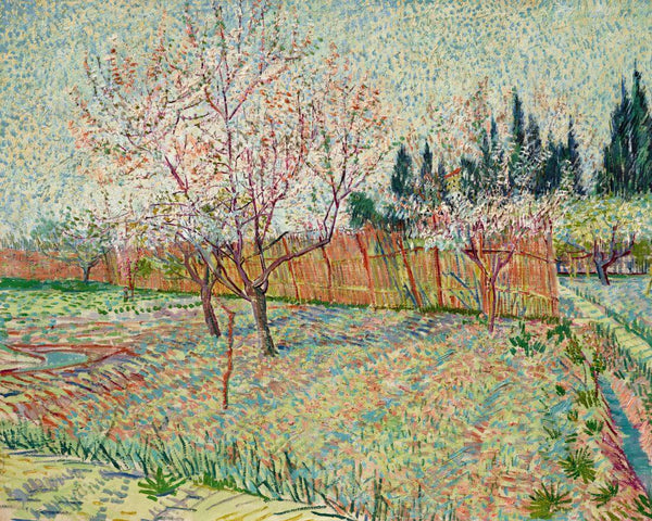 Orchard With Cypresses (Verger Avec Cyprès - Vincent van Gogh - Landscape Post Impressionist Painting - Life Size Posters