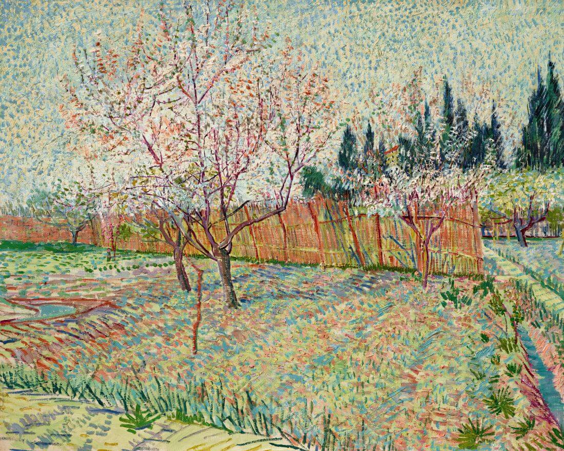 Orchard With Cypresses (Verger Avec Cyprès Vincent van Gogh Landscape Post Impressionist Painting Large Art Prints