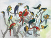 Heaven of Parrots - Canvas Prints