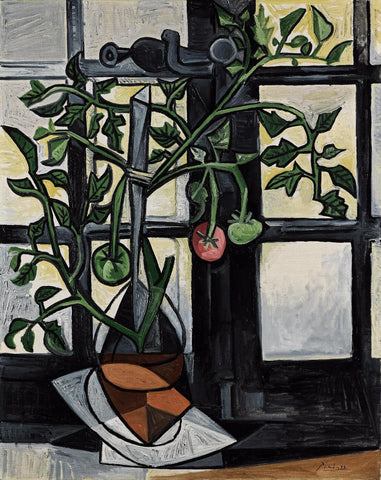 Plant de tomato by Pablo Picasso