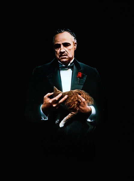 Painting - Marlon Brando As Don Corleone In The Godfather - Hollywood Collection - Framed Prints