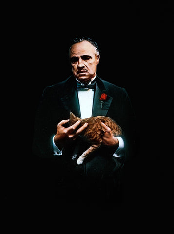 Painting - Marlon Brando As Don Corleone In The Godfather - Hollywood Collection - Canvas Prints